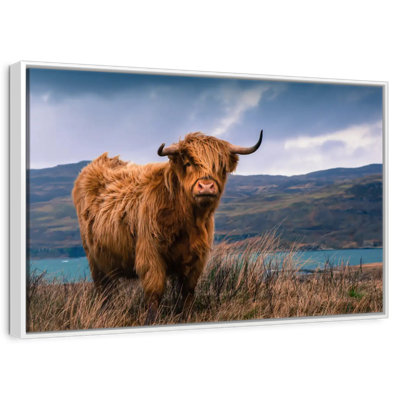 Grande vache Highland