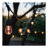 24 Foot LED String Light 12-S14 Lamps Medium Base RGBTW Infrared Remote Black 120V