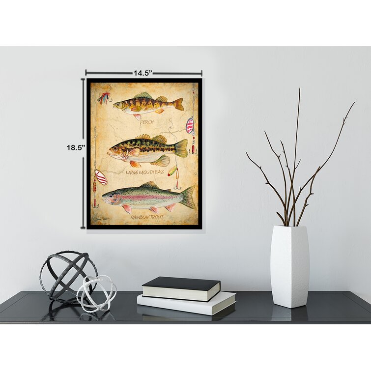 Fish Hooks, Perch, Large Mouth Bass And Rainbow Trout Poster Framed On  Paper by Jean Plout Print