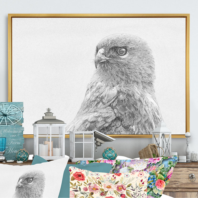 Croquis commun Buteo Buteo - impression sur toile, H 24 po x l 36 po x P 1 po, Cadre flottant doré