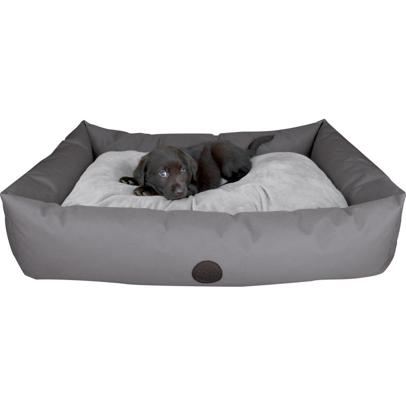 Lits de voyage pour chien, Petit (l 36 po x P 24 po x H 7 po), Gris