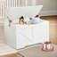 Pensiero Accent Wooden Storage Chest Box