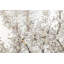 Hand -painted acrylic painting Pearls in Bloom