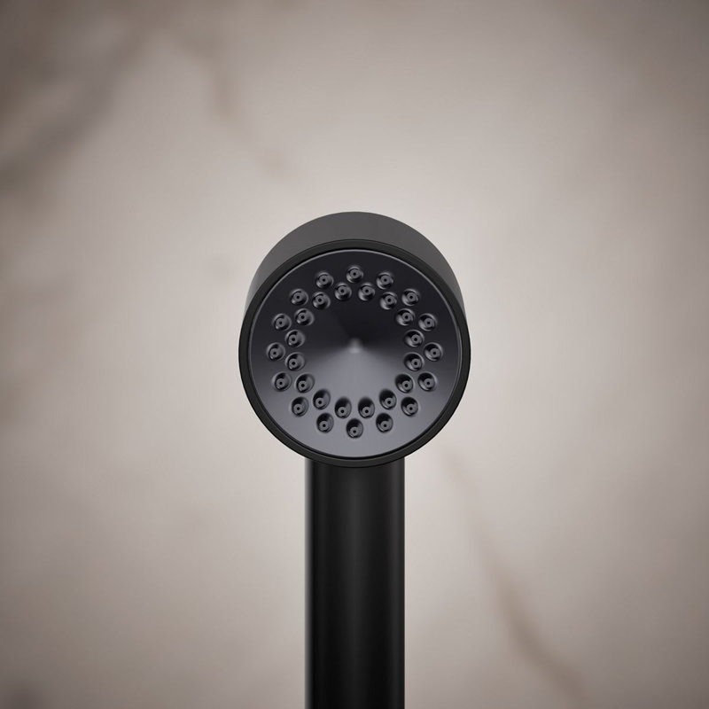 Douchette à main à fonction unique 2,5 gallons déclaration, Noir mat, 2.5 GPM