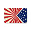 Tapis d'entrée rétro d'extérieur Starburst Patriotic Independence Day, 20 po x 32 po, décoration de patio