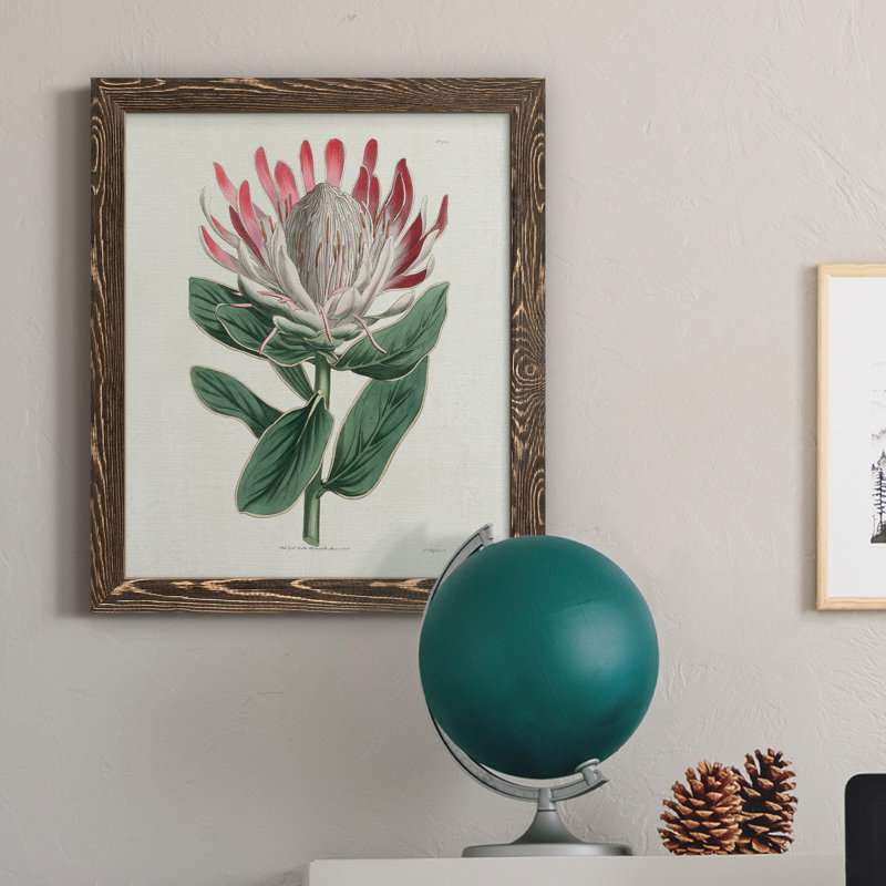 Protea N13 - Peinture sur toile encadrée, H 20 po x l 17 po x P 1,5 po, Encadré de bois de noyer