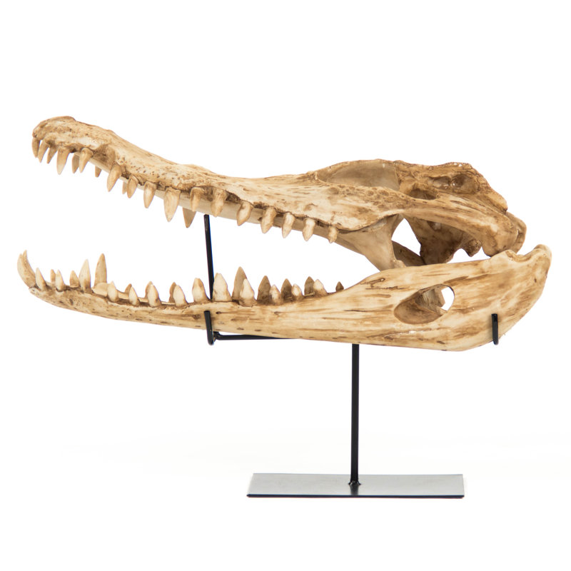 Alligator Skull Handmade Resin Wall Decor
