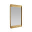 Hart Rectangle Brass Beveled Mirror