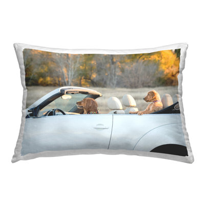 Throw Pillow
