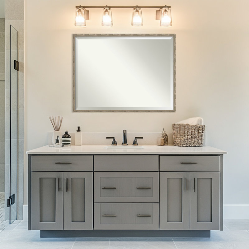Miroir mural de salle de bain Mila, 25,5 po x 19,5 po, Argent foncé