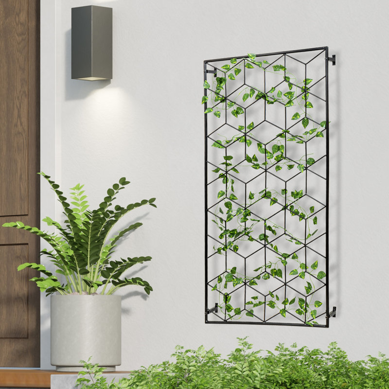 Wall Mounted Geometric Lattice Frame Trellises