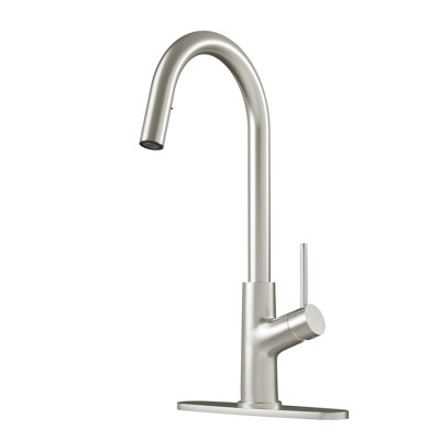 CASAINC 1.8 GPM Single-Handle Pull-Down Kitchen Faucet Single Hole with Deck Plate -  CA-D3415-BN