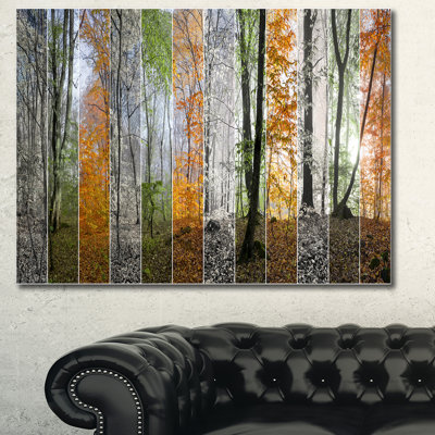 « wood panorama changing seasons », reproduction de photo sur toile tendue