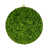 Vert mousse est en rupture de stock