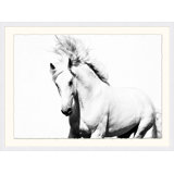 White Horse Print