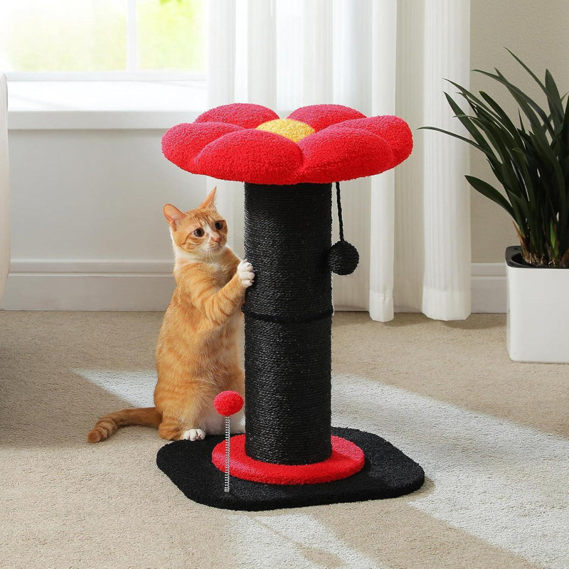 Petit griffoir pour chat, planche à griffer d'intérieur pour chat, avec griffoir très épais, lit de fleurs amovible et boule à ressort