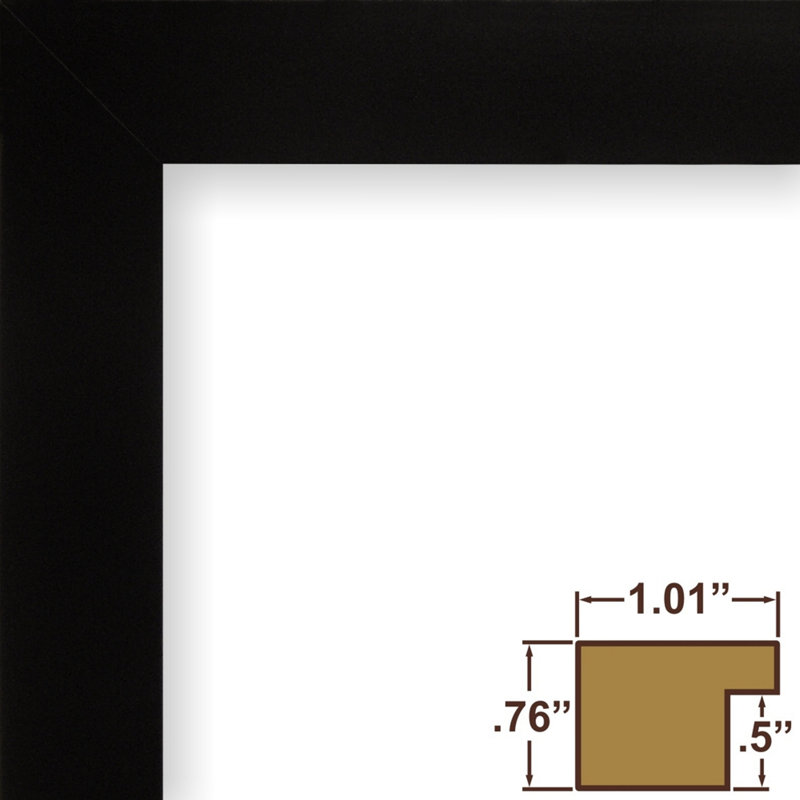 Hunziker Picture Frame with Mat, 20" x 24" Matted to 16" x 20", Satin Black