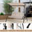 Casitas 3 - Person Metal Hanging Porch Swing and Cushions
