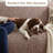 Stretch Pet Friendly Sofa Slipcover - Washable Couch Slip Cover Furniture Protector-51370896-51370891