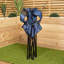Samuel Alexander Camping Chair-109272059