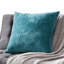  Coussin décoratif en velours de polyester-1988917620-1883966052