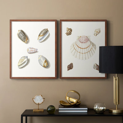 Pastel Knorr Shells III-Premium Framed Print -Ready to Hang - No Nails Required - No Nails Required