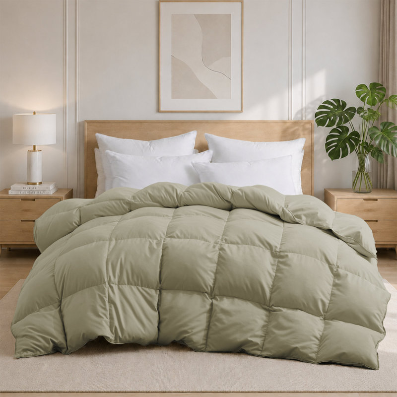 Ensemble de couette légère toutes saisons en plumes d'oie, Sage Green, Full/Queen