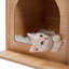 Arbre à chat en bois de luxe nuageux pour chats d'intérieur avec caractéristiques de grattage et d'escalade