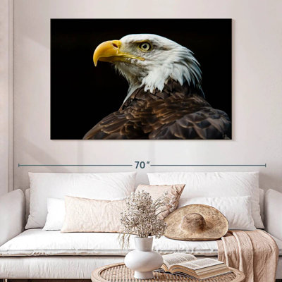 Brampt Bald Eagle Fierce Gaze