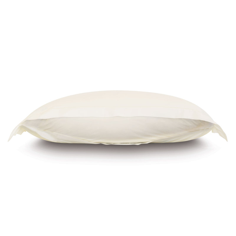 Gianna Cotton Pillow Sham, Ivory, King