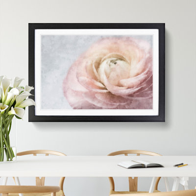 Pink Ranunculus Flower - Picture Frame Graphic Art Print