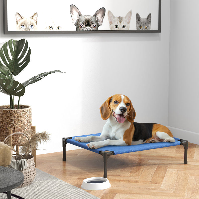 Minerville Raised Dog Bed with Metal Frame, Medium ( 76cm L x  61cm W)