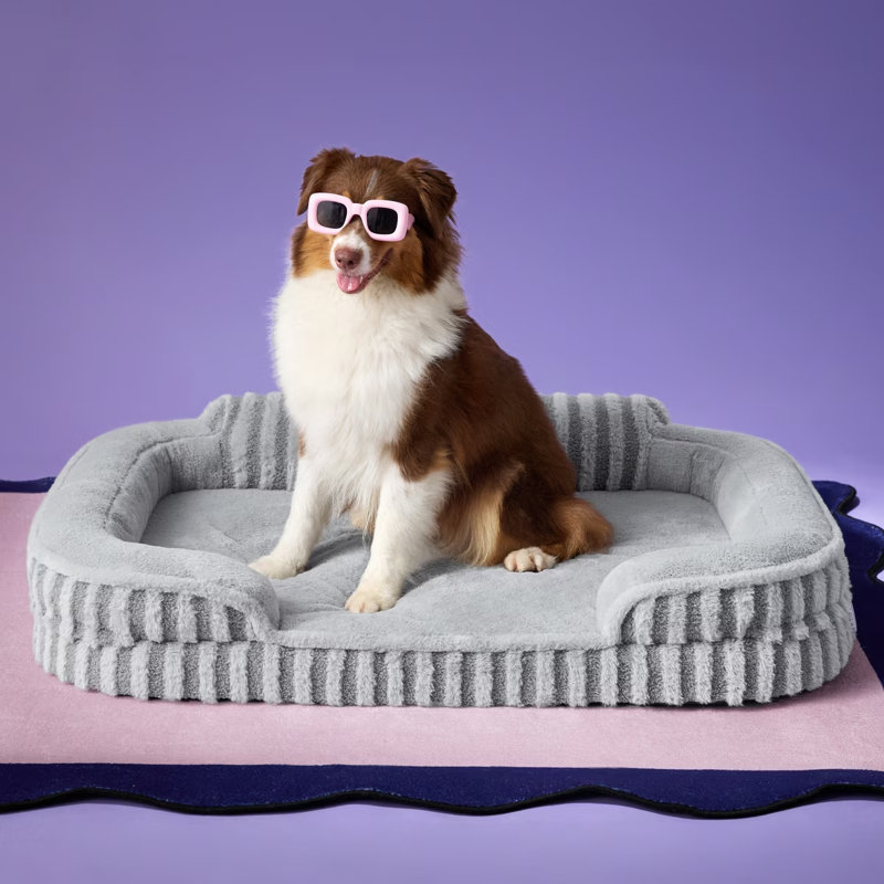 Lit pour chien Lesure, lit orthopédique imperméable pour animaux de compagnie avec côtés, fond antidérapant à haut dossier et canapé en mousse pour caisse d'œufs avec housse amovible et lavable