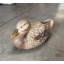 Statue de canard colvert femelle