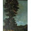 Tree at the Line