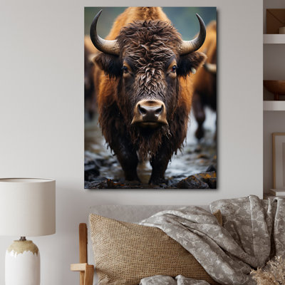 " Buffalo National Photo "