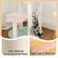 Shellman 104cm H Cat Tree