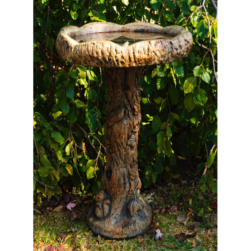 Woodland Birdbath