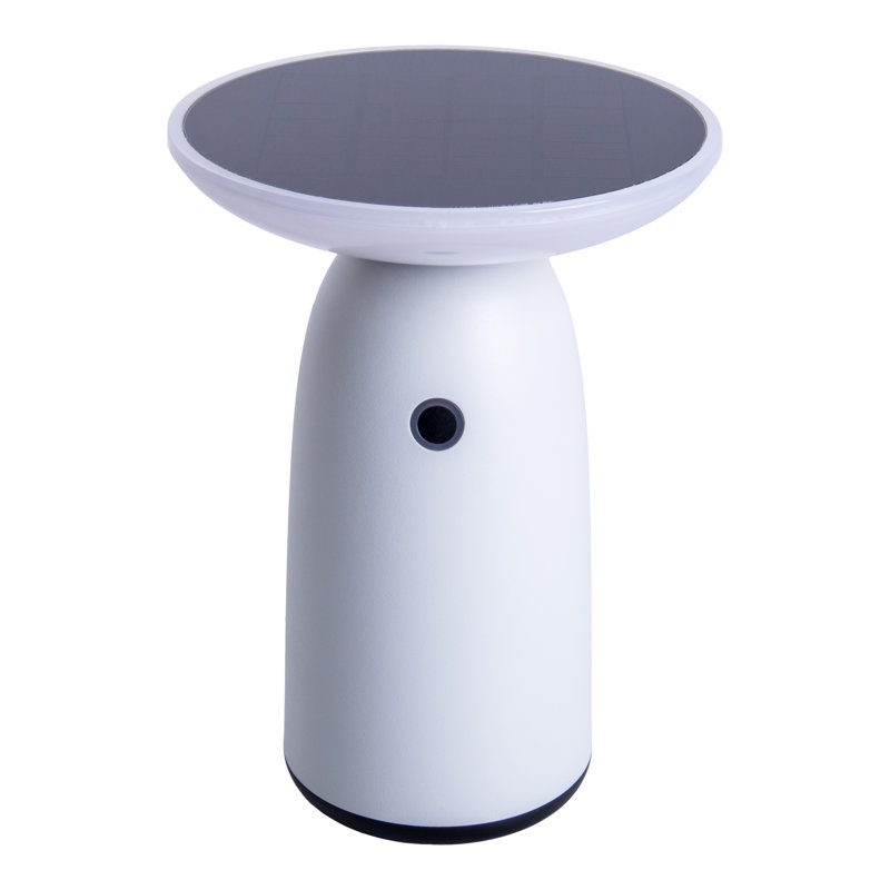 Alleria 22.5cm Solar Powered Integrated LED Outdoor Table Lamp, White