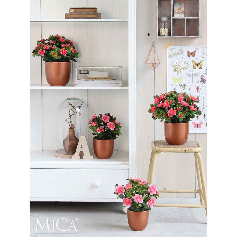 Azalea Arrangement in Pot, Grey/Pink