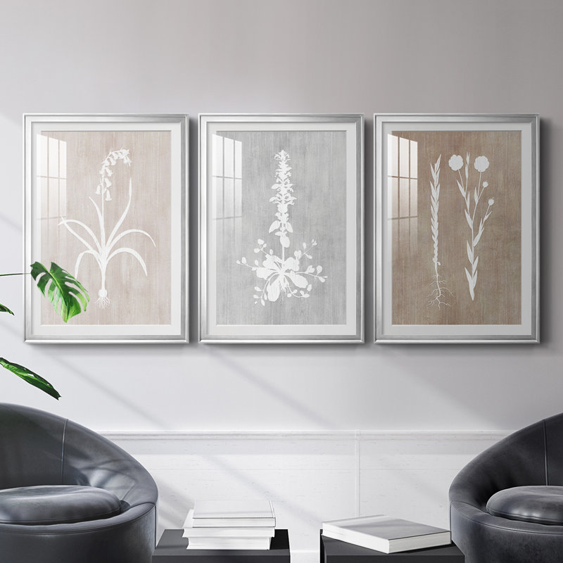 " Botany Beauty I " 3 - Pieces Painting Print, Silver Framed, 36.5" H x 53" W x 2.5" D