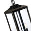 Lanterne suspendue d'extérieur H 20 po Gaudencia-578178902