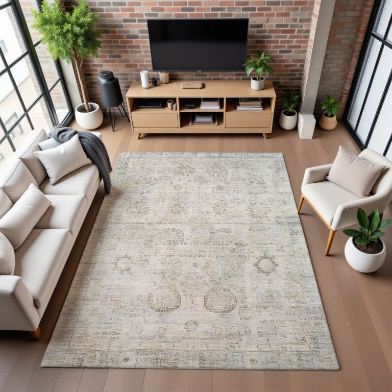Premium Machine Washable Verlin AMF1769 Border Rug, Rectangle 10' x 14'