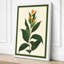 Tropical Bloom Study Botanical - Wrapped Canvas-131761526-131761529