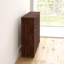 Ain Shoe Storage Cabinet-1756510354
