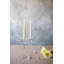 Cavendish Candlestick