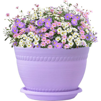 Teddrick Planter