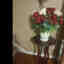 Customer photo 2 of 2