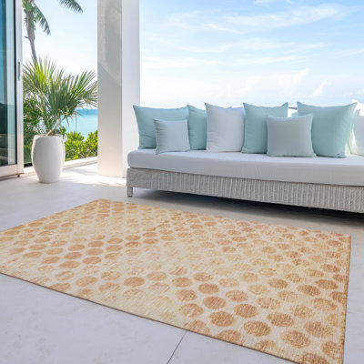 Machine Washable Indoor/Outdoor Claudian ACN1642 Peach Rug