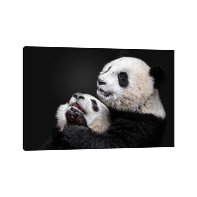 Pandas by Alessandro Catta - Wrapped Canvas Painting